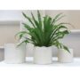 product-275524-1789660497-ACC01-0000428^2
